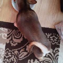 Фото отзыва 10947409