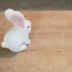 Видео отзыва 6629611
