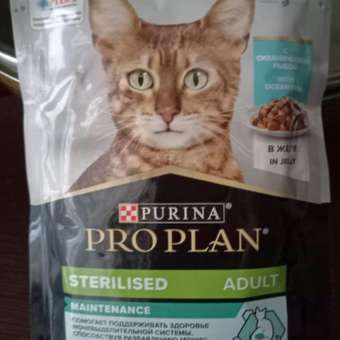 Корм влажный для кошек PRO PLAN Nutri Savour 85г с океанической рыбой в желе при стерилизации и кастрации: отзыв пользователя. Зоомагазин Зоозавр