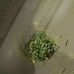 Фото отзыва 10180125