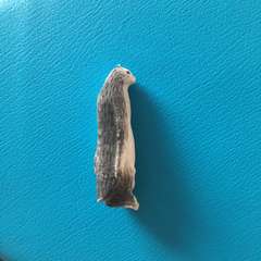 Фото отзыва 3095897