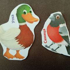 Фото отзыва 11170401