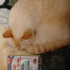 Фото отзыва 10781236