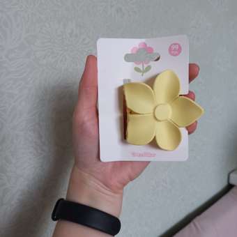 Заколка Demi Star Candy 1 шт.: отзыв пользователя Детский Мир