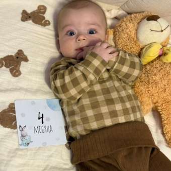 Боди 3 шт Happy Baby: отзыв пользователя Детский Мир