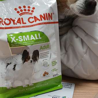 Корм для собак ROYAL CANIN миниатюрных пород 500г: отзыв пользователя. Зоомагазин Зоозавр