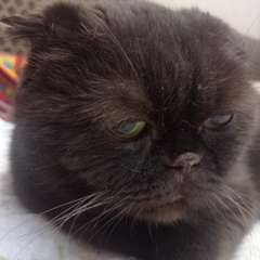 Фото отзыва 10939440