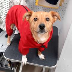 Фото отзыва 10857674