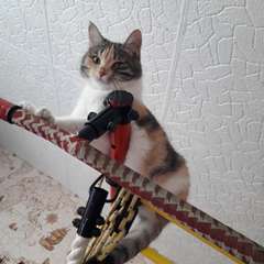 Фото отзыва 10647577