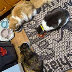 Фото отзыва 10502131