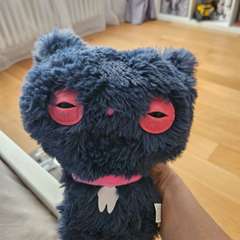 Фото отзыва 11261888