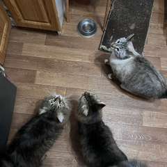 Фото отзыва 10824853