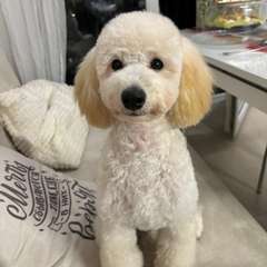 Фото отзыва 10628036