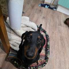 Фото отзыва 10988980