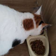 Фото отзыва 10790508