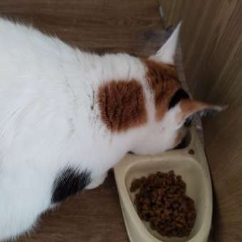 Корм для котят ROYAL CANIN Gastrointestinal kitten при нарушениях пищеварения 350г: отзыв пользователя. Зоомагазин Зоозавр