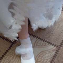 Фото отзыва 10762443