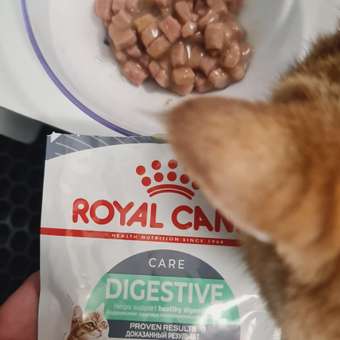 Корм для кошек Royal Canin 85г Digestive Care соус: отзыв пользователя. Зоомагазин Зоозавр