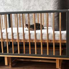 Фото отзыва 11328106