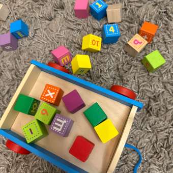 Игрушка Alatoys каталка Тигр в ассортименте: отзыв пользователя Детский Мир