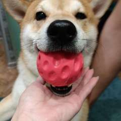 Фото отзыва 11081940