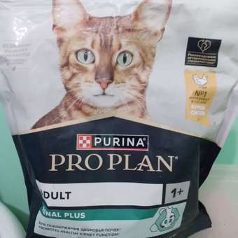 Корм сухой для кошек PRO PLAN RENAL PLUS 400г с курицы: отзыв пользователя. Зоомагазин Зоозавр