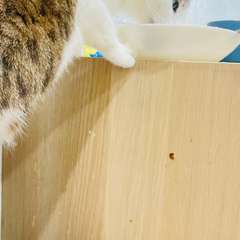 Фото отзыва 10970219