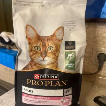 Корм сухой для кошек PRO PLAN 1.5кг с ягненком с чувствительным пищеварением: отзыв пользователя. Зоомагазин Зоозавр