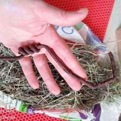 Фото отзыва 10847083