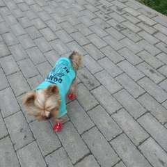 Фото отзыва 9725736