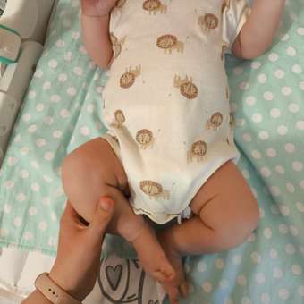 Боди Baby Gо 2 шт: отзыв пользователя Детский Мир
