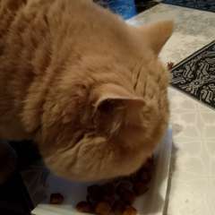 Фото отзыва 10800019