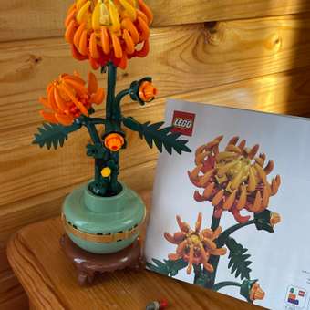Конструктор LEGO Botanicals Хризантема: отзыв пользователя Детский Мир