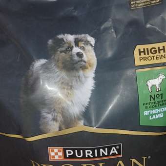 Корм для щенков PRO PLAN средних пород с комплексом Optidigest с чувствительным пищеварением с ягненком 1.5 кг: отзыв пользователя. Зоомагазин Зоозавр