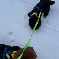 Фото отзыва 10658548