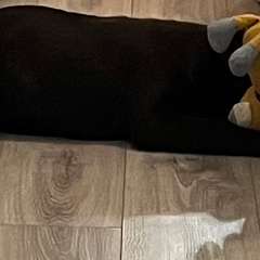 Фото отзыва 10638386