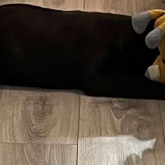 Игрушка для собак Barbaks Лис мягкий пищит 20*32 см: отзыв пользователя. Зоомагазин Зоозавр