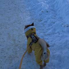 Фото отзыва 11003630