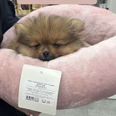 Фото отзыва 8297392