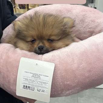 Лежанка для кошек GAMMA Лилия круглая 45-45-15см Розовая: отзыв пользователя. Зоомагазин Зоозавр