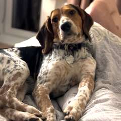 Фото отзыва 10977866