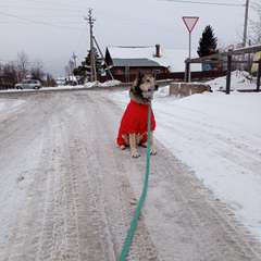 Фото отзыва 8291814