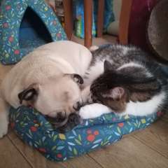 Фото отзыва 11023988