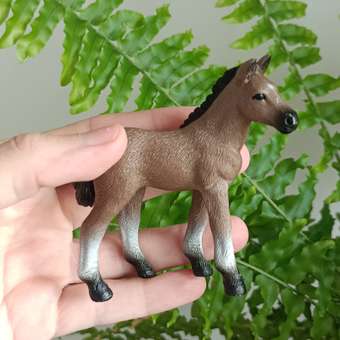 Фигурка Детское Время Жеребенок Ганноверской породы: отзыв пользователя Детский Мир