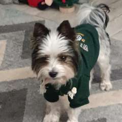 Фото отзыва 11322779