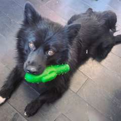 Фото отзыва 11267074