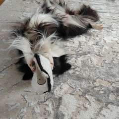 Фото отзыва 10905697