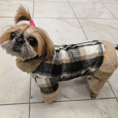 Фото отзыва 10644291