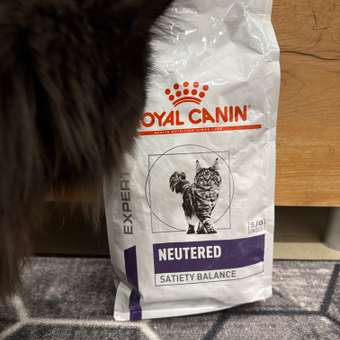 Корм для кошек ROYAL CANIN Neutered Satiety Balance стерилизованных 1.5кг: отзыв пользователя. Зоомагазин Зоозавр