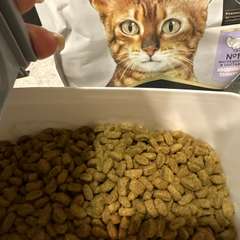 Фото отзыва 10891334